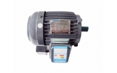 TECO Brake Motors
