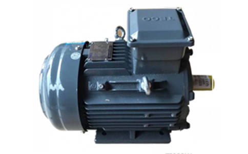 GB3 Energy Efficient Motor