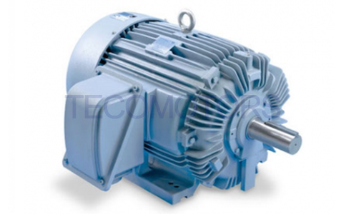 Motores TECO IEEE-841