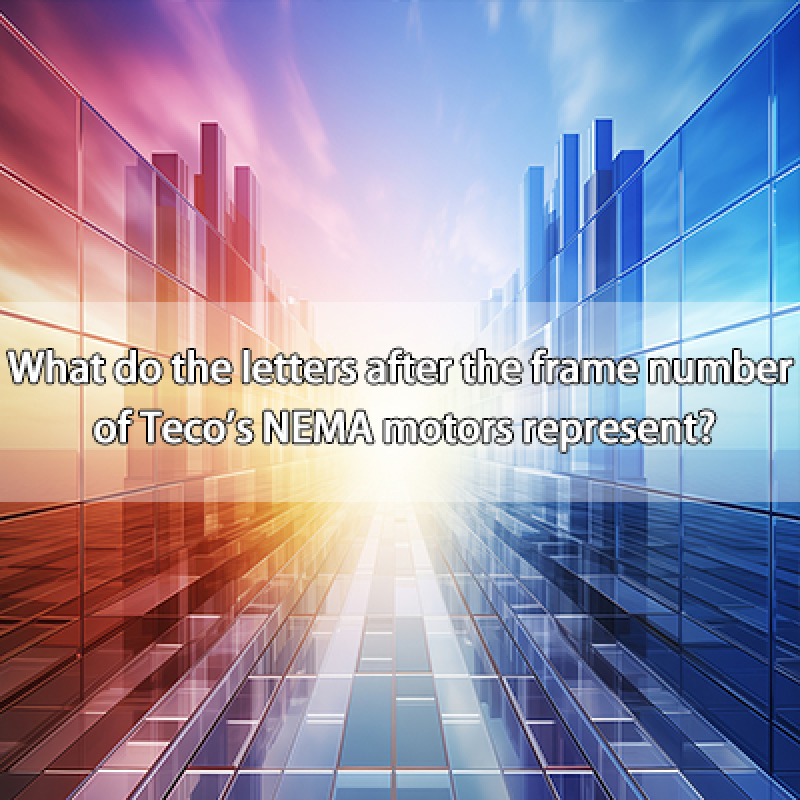 What do the letters after the frame number of Teco's NEMA motors represent?